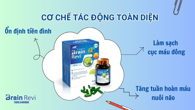 Brain Revi sở hữu cơ chế tác động toàn diện tới não bộ