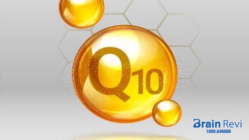 Coenzyme Q10 là một nhân tố thiết yếu trong nhiều hoạt động chức năng của tế bào