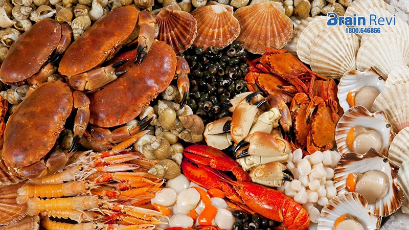 Hải sản giúp cơ thể tăng lưu thông máu, cải thiện tình trạng thiếu máu của cơ thể