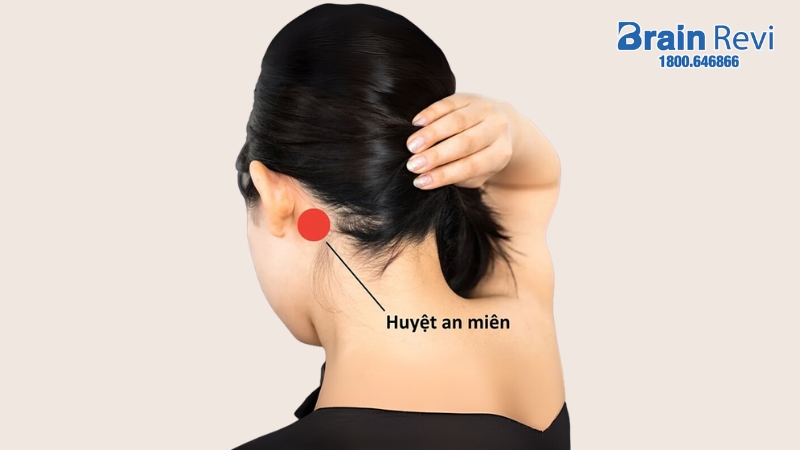 Huyệt An miên